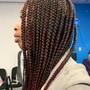 Crochet Braids/Twists/Locs