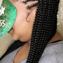 Small french Braids- one layer