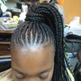 Crochet Braids/twist/Locs(Md/Lg)