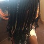 Medium Box Braids