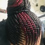 2 braided ponytail