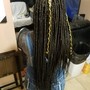 Starter Locs 2 strand twist