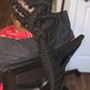 Starter Locs (Comb twist method) - Up to 120 Locs