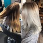 Root Touch Up