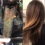 Root Touch Up