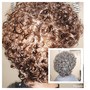 "Mold & Curl" w/ Cut