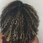 Root Touch Up