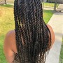 Jumbo Senegalese Twists