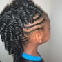 2 Strand or Comb Twist