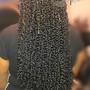 Loc Retwist  (LADIES/  KIDS ONLY)