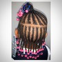 Large  Front  Feedin/Back Box Braids