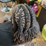 Medium 2 Strand Twists