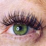 Volume Eyelash Full Set