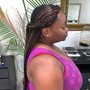 Large  Front  Feedin/Back Box Braids