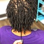 Starter Micro locs (Twist)