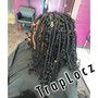 Loc Coils starter locs