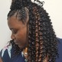 Passion/Kinky Twist