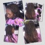 Root Touch Up