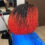 Root Touch-up