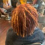 Root Touch Up