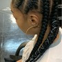 Feed in Braid  Style