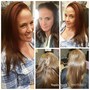 Color Root Touch Up