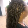 Takedown, Hot Oil Treatment, Natural Twists, At Home Blowout