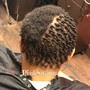 Comb Twists/ Coils