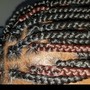 Box Braids (Medium/Mid-Back)