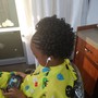 Natural Hair Shampoo and Twist Out