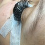 Eyelash Volume fill 2 week