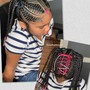 Adult Braided Ponytail Small braids