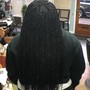 Senegalese Twist