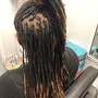 Starter locs