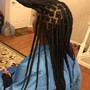 Havana Twists