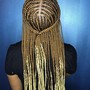 2-rows Feed in Braids