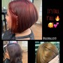 Toning/ Glossing, Shampoo, Blowdry