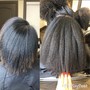 Root Touch Up