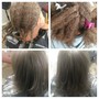 Root Touch Up