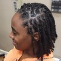 Short "Starter Locs"