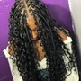 Large Layer w/ Box Braids