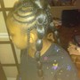 Braid Bar Style