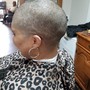 Women's Clipper Cut