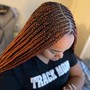 Medium Box  Braids