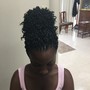 Comb Twist