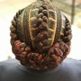 Beehive braid