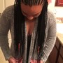 Large Goddess Box Braids