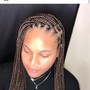 10-16 Feed in Braids