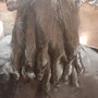 Root Touch Up