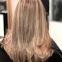 Partial Dimensional Highlight + Haircut